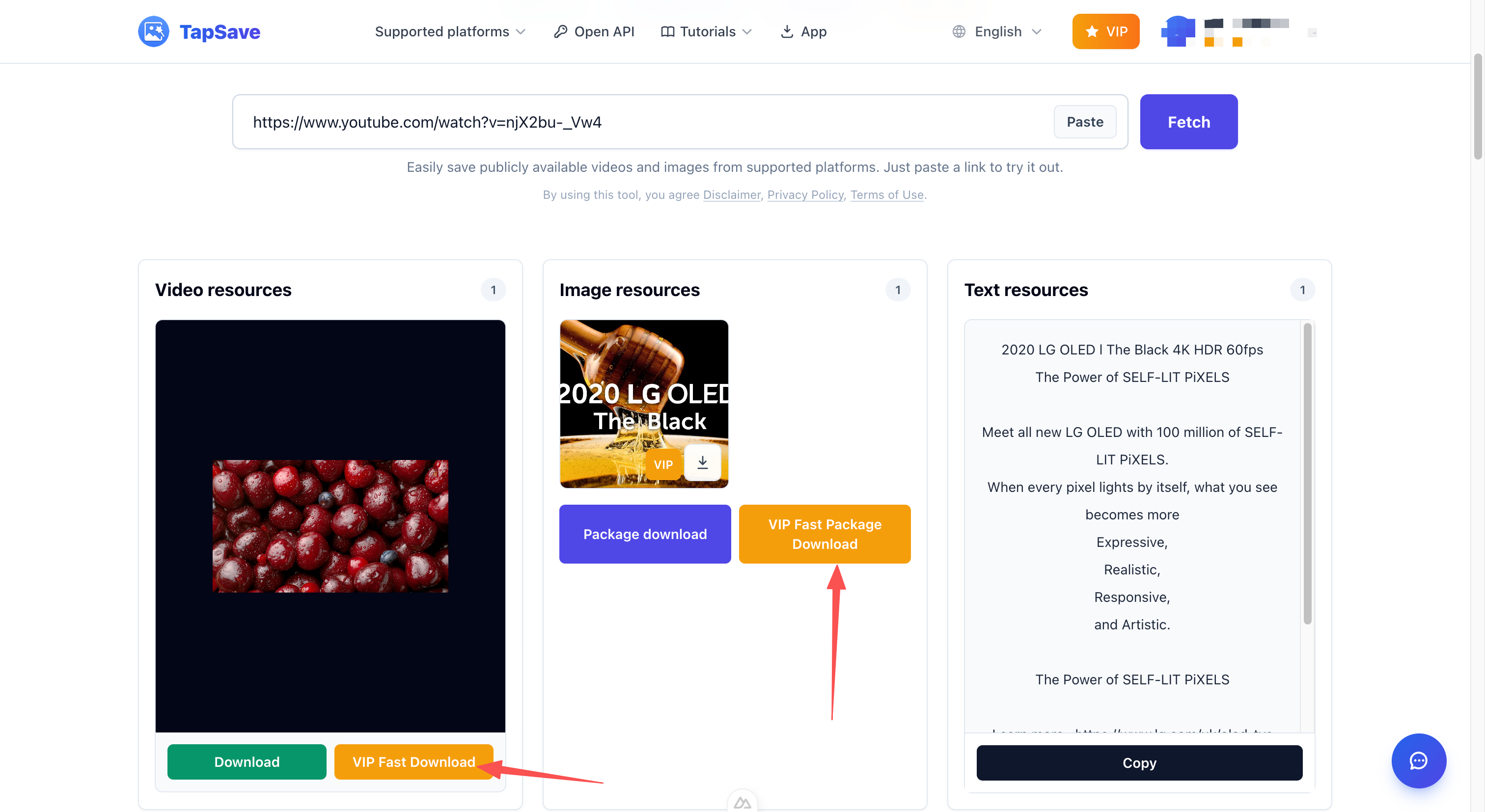 VIP Fast Download and VIP Fast Package Download buttons